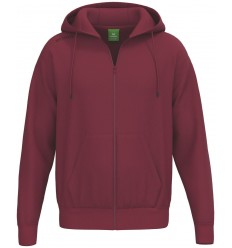 Moška bombažna jopa s kapuco BASIC TS Erima