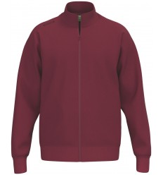 Moška bombažna jopa BASIC TS Erima