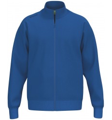 Moška bombažna jopa BASIC TS Erima