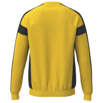 copy of Bombažna pulover CMPT WINGS