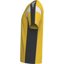 copy of Moška kratka majica CELEBRATE125 Erima